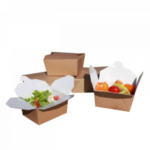 Коробка для горячих блюд ECO FOLD BOX 900 (240 шт.-кор.)